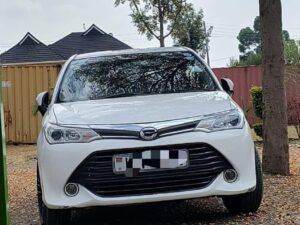 Toyota Axio